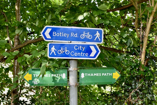 A signpost with blue and green directional signs among dense green foliage. The blue signs point left towards Botley Rd. and right towards the City Centre, each accompanied by icons for pedestrian and bicycle pathways. Below, two green signs indicate the Thames Path, with arrows pointing left and right.