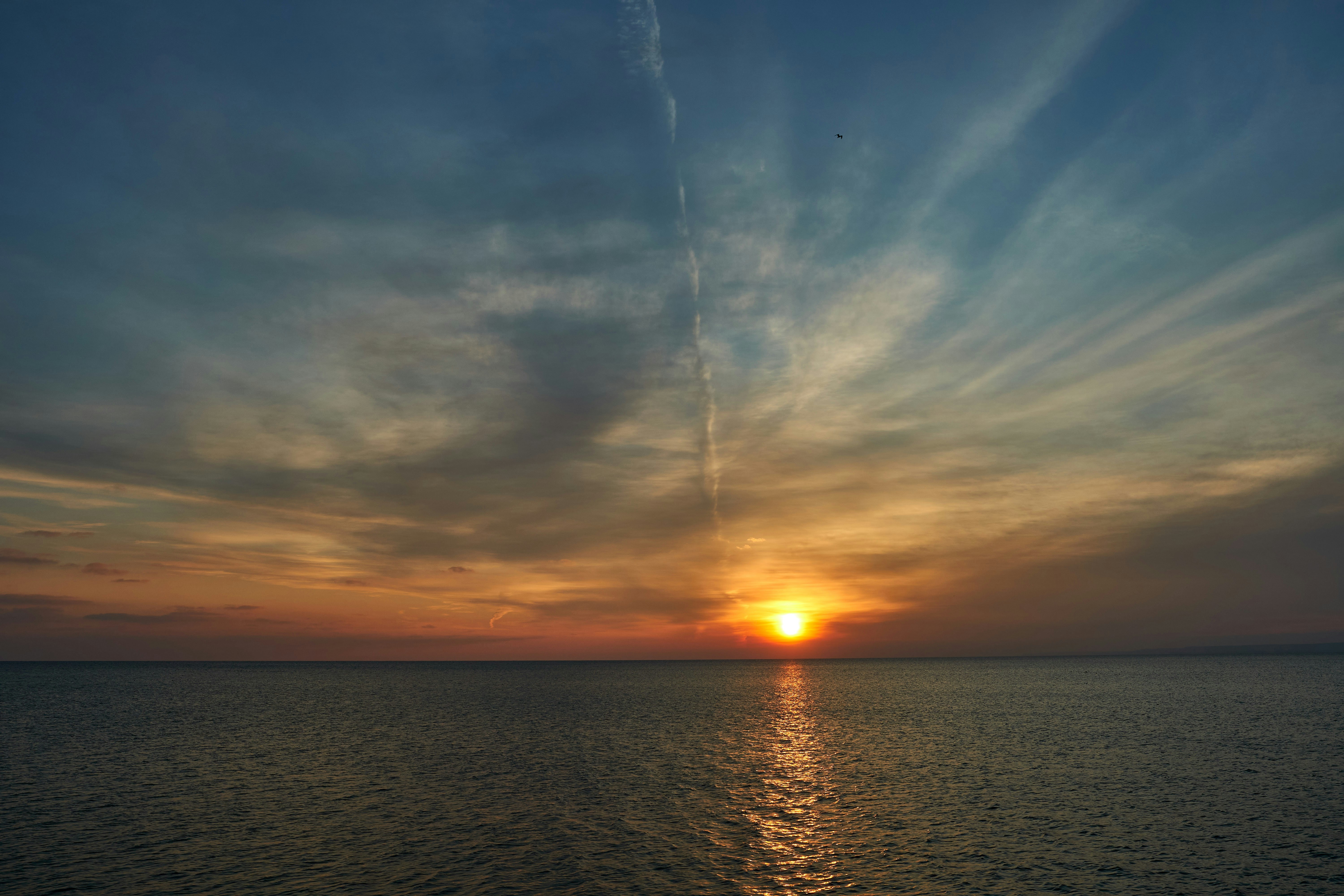 Photo by wolfgang_hasselmann