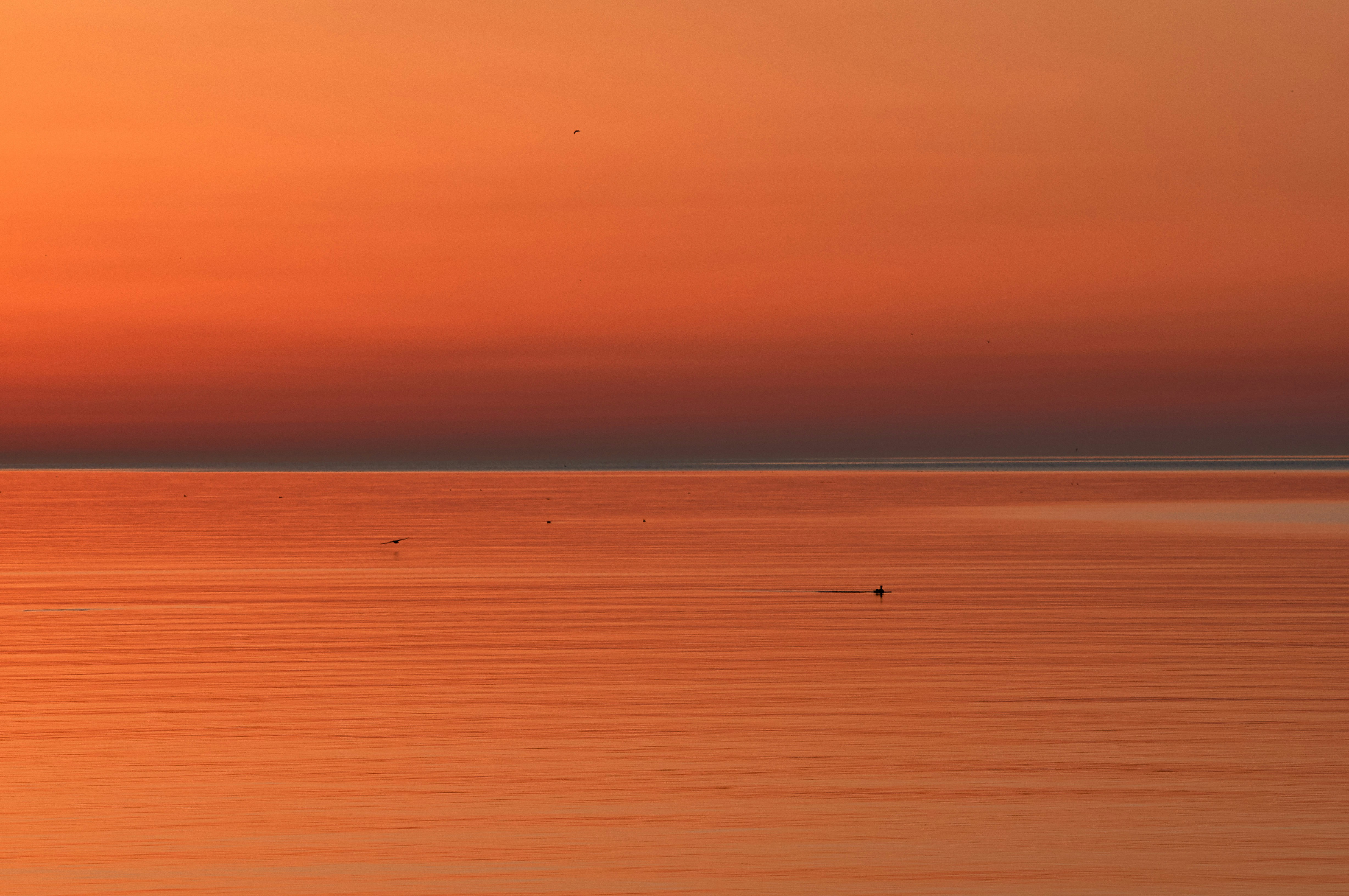 Photo by wolfgang_hasselmann