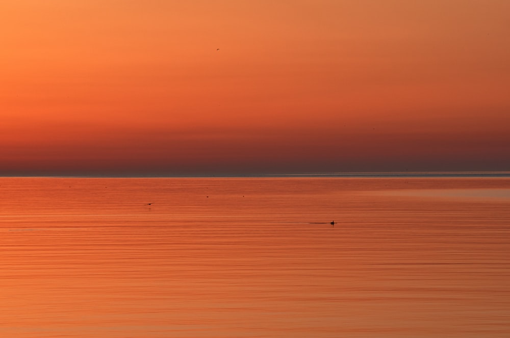 a large body of water with a bird flying over it