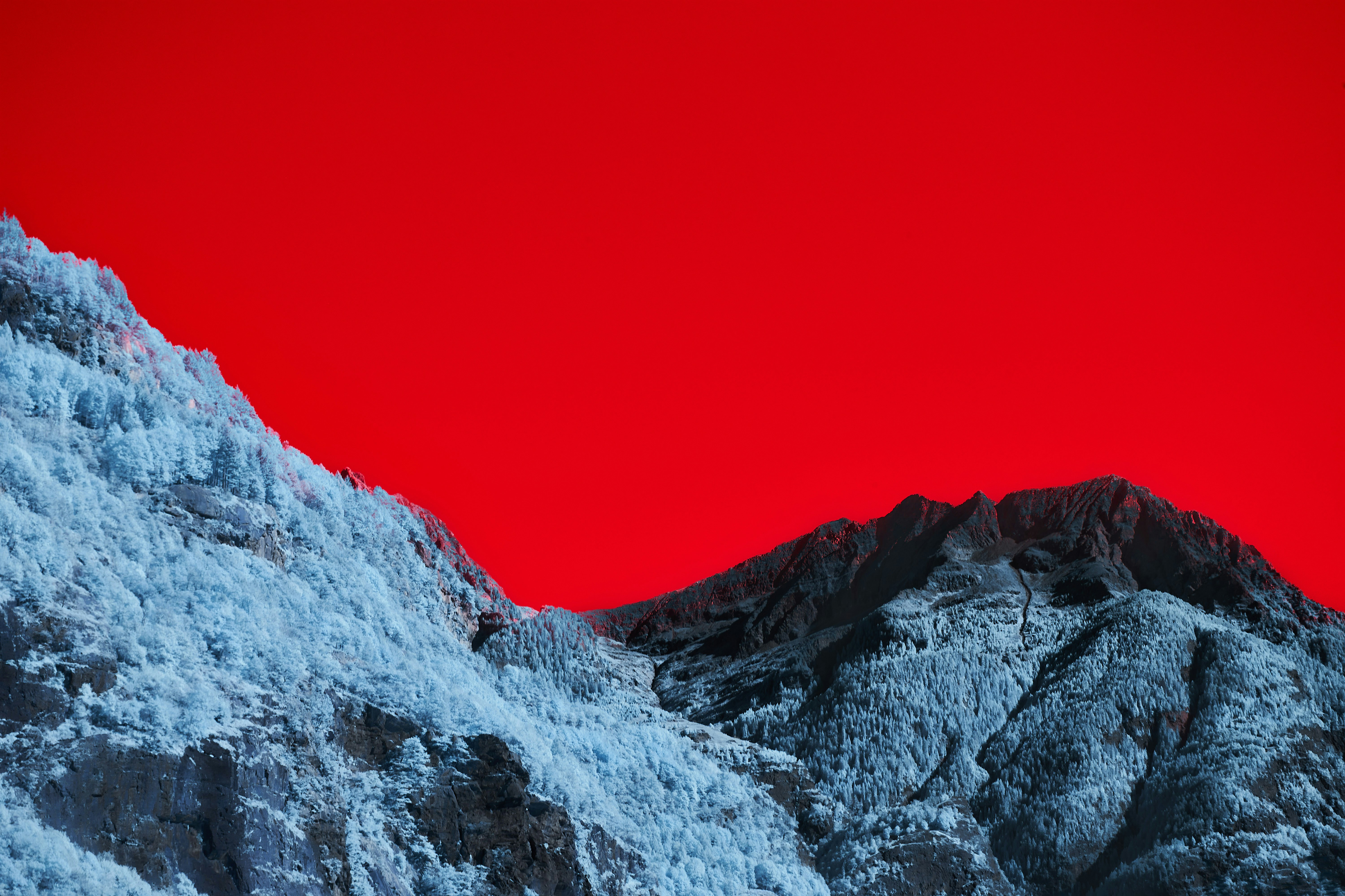 Photo by wolfgang_hasselmann