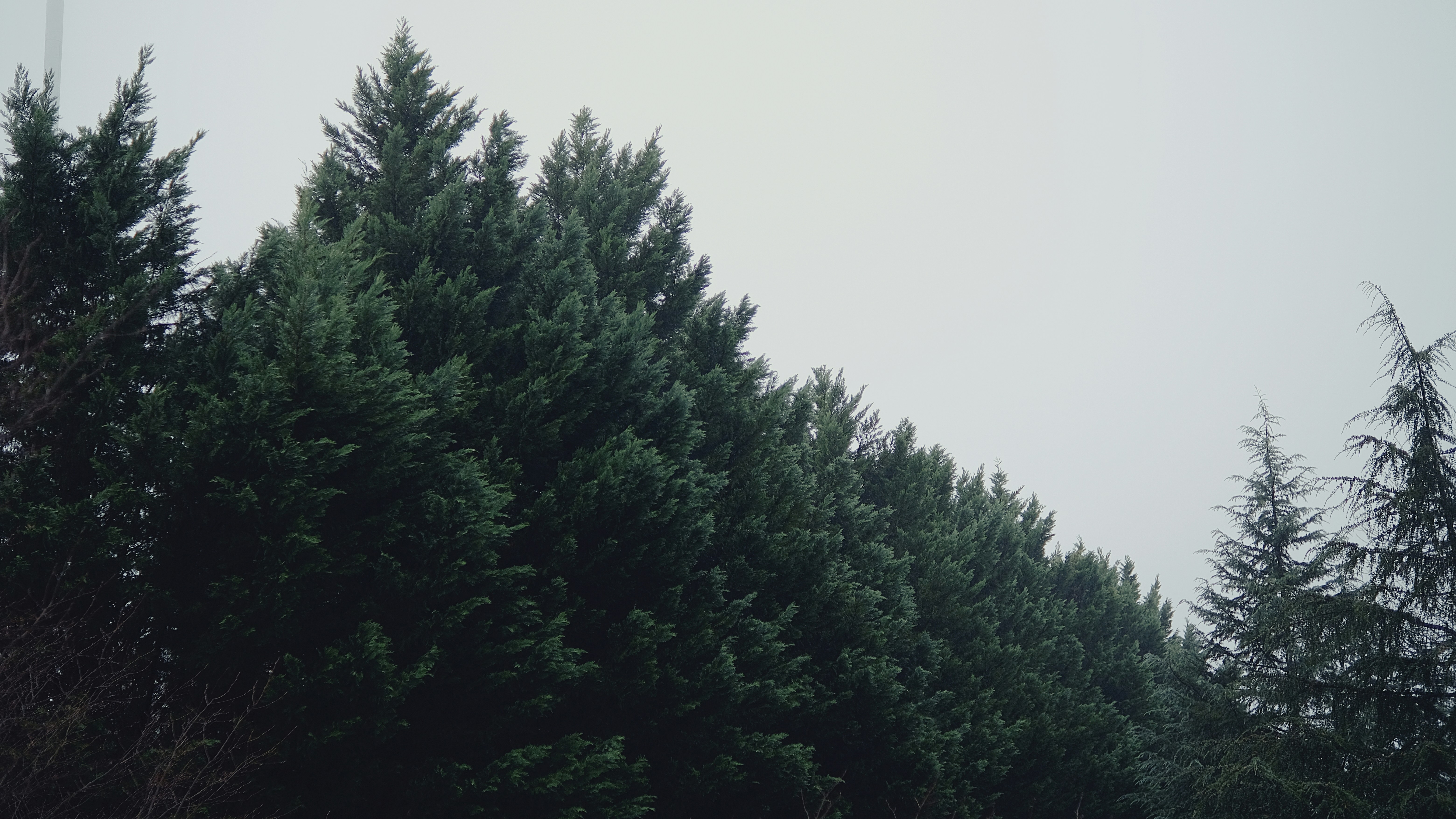 Photo by leiadakrozjhen