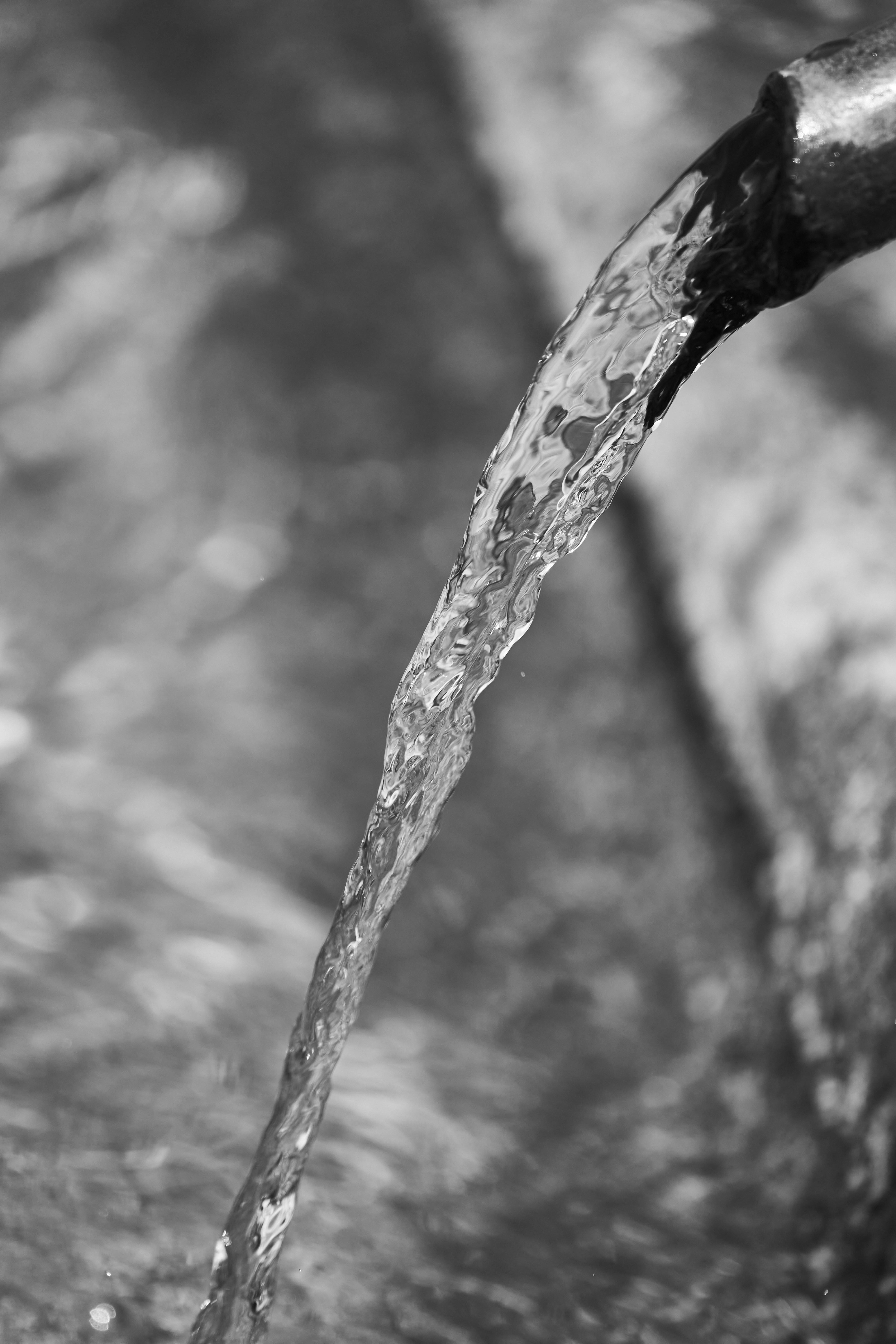 Photo by wolfgang_hasselmann