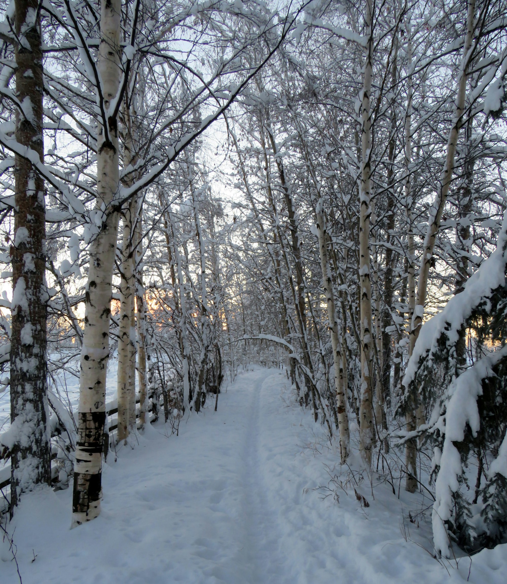 Fairbanks Travel Guide: Explore Alaska's Golden Heart