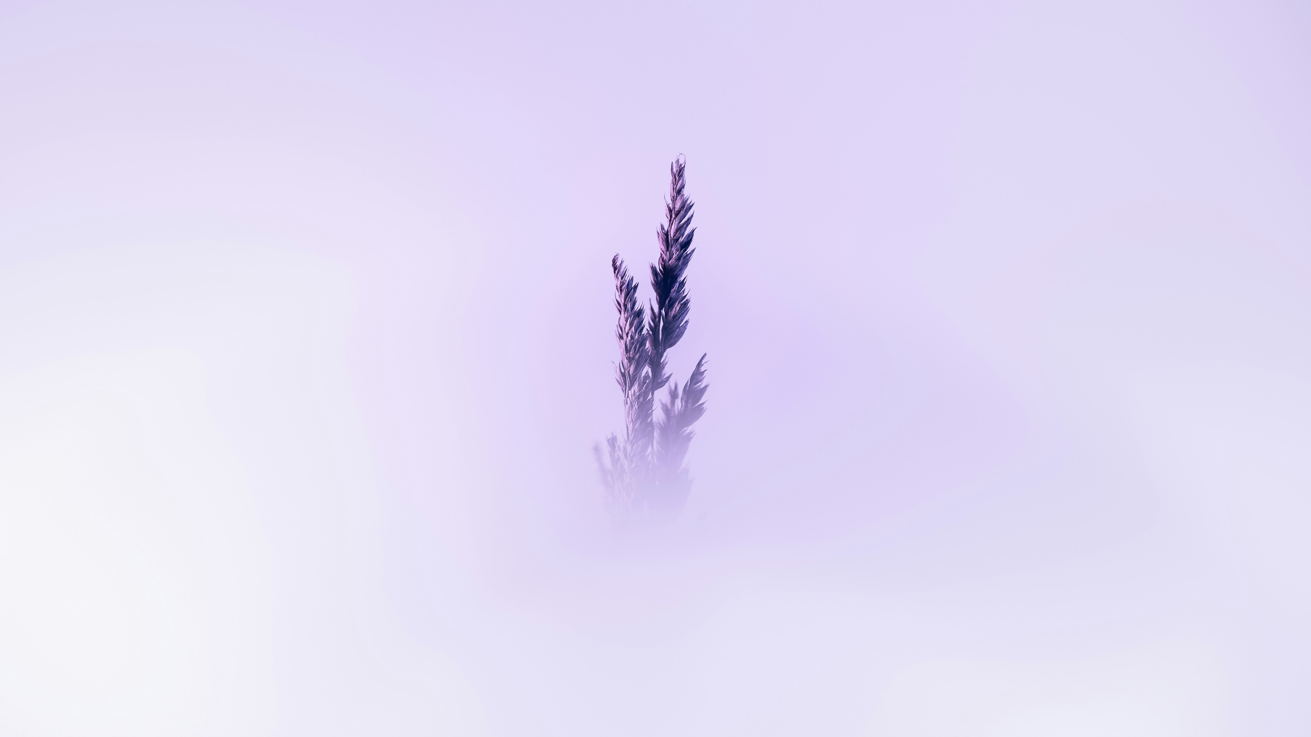 Photo by marekpiwnicki