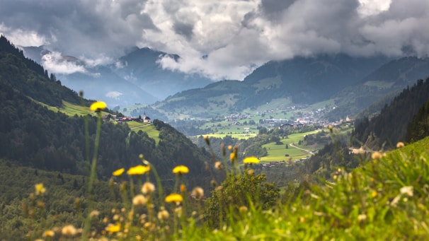 A beautiful landscape of the Valstrona mountains with beehives.