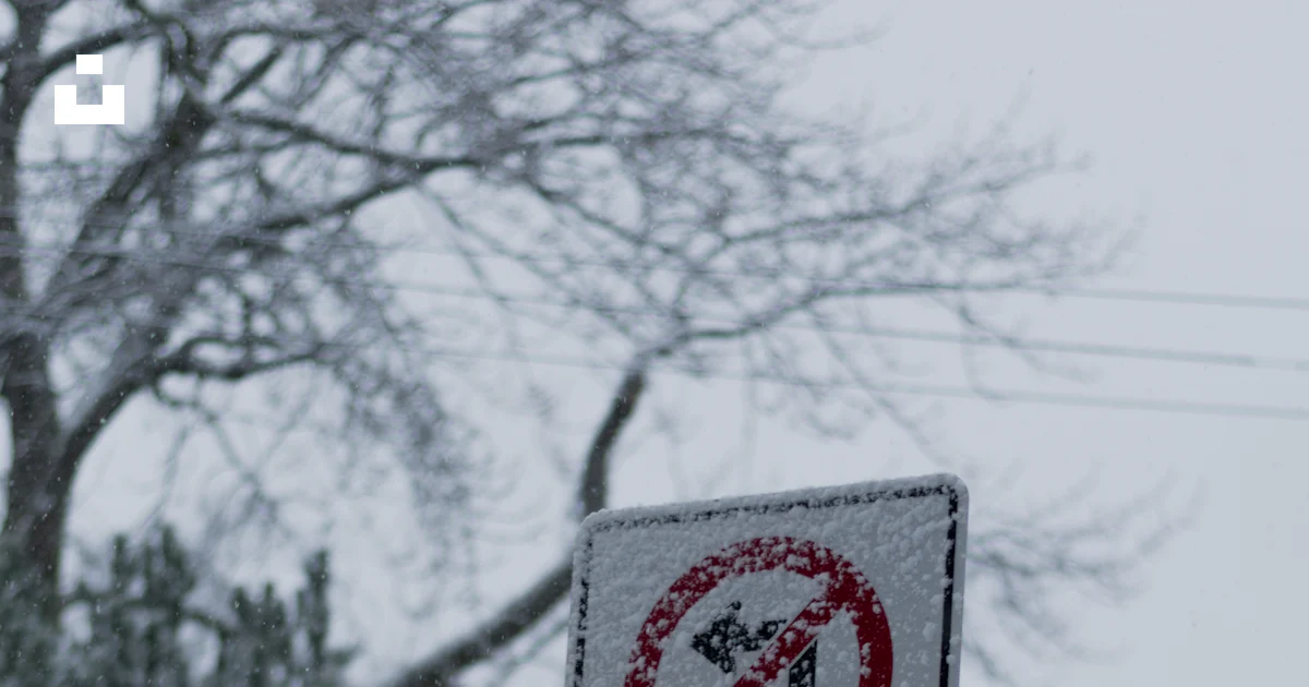 Stop Sign Under Sign A red stop sign sitting under a no entry sign photo – Free Lost lagoon ...