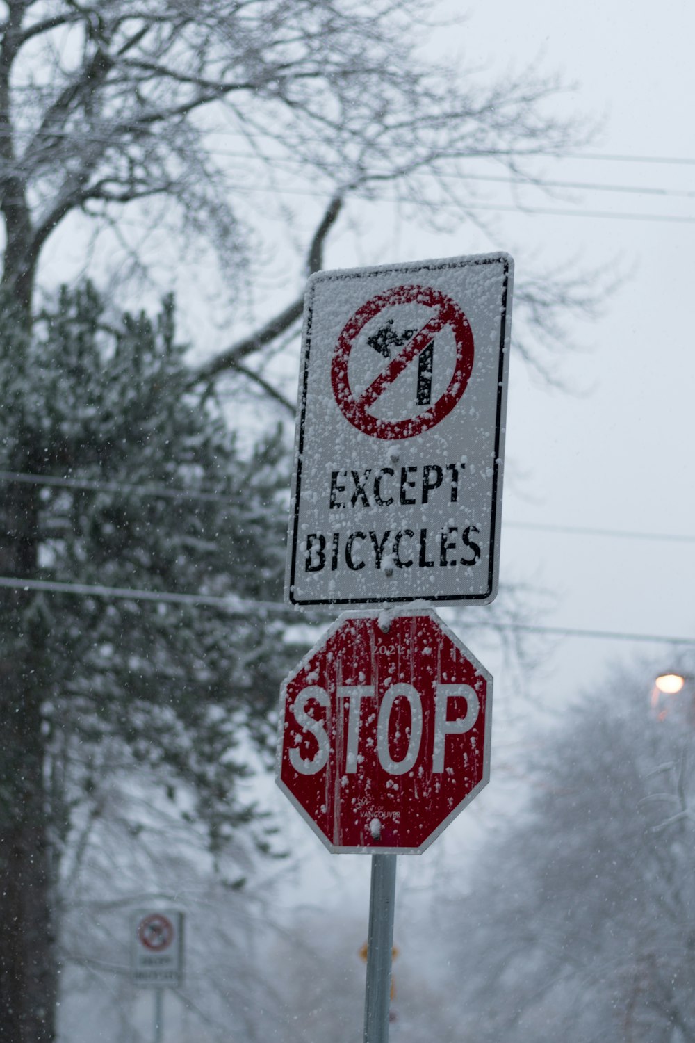 a red stop sign sitting under a no entry sign