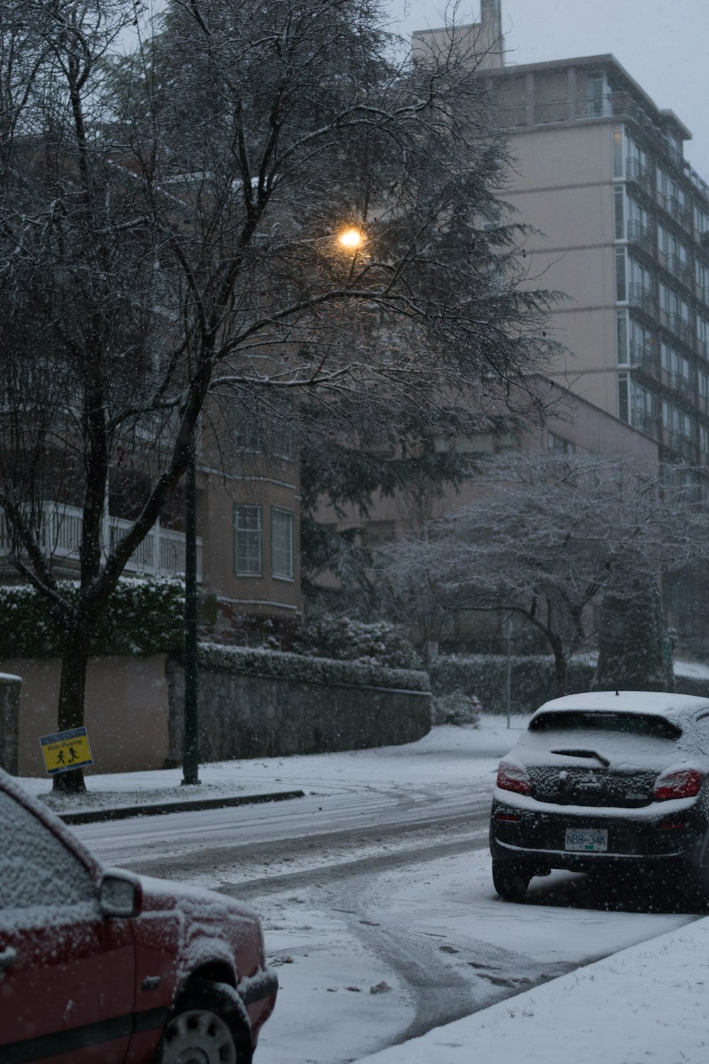 雪の中に座っている車のカップル