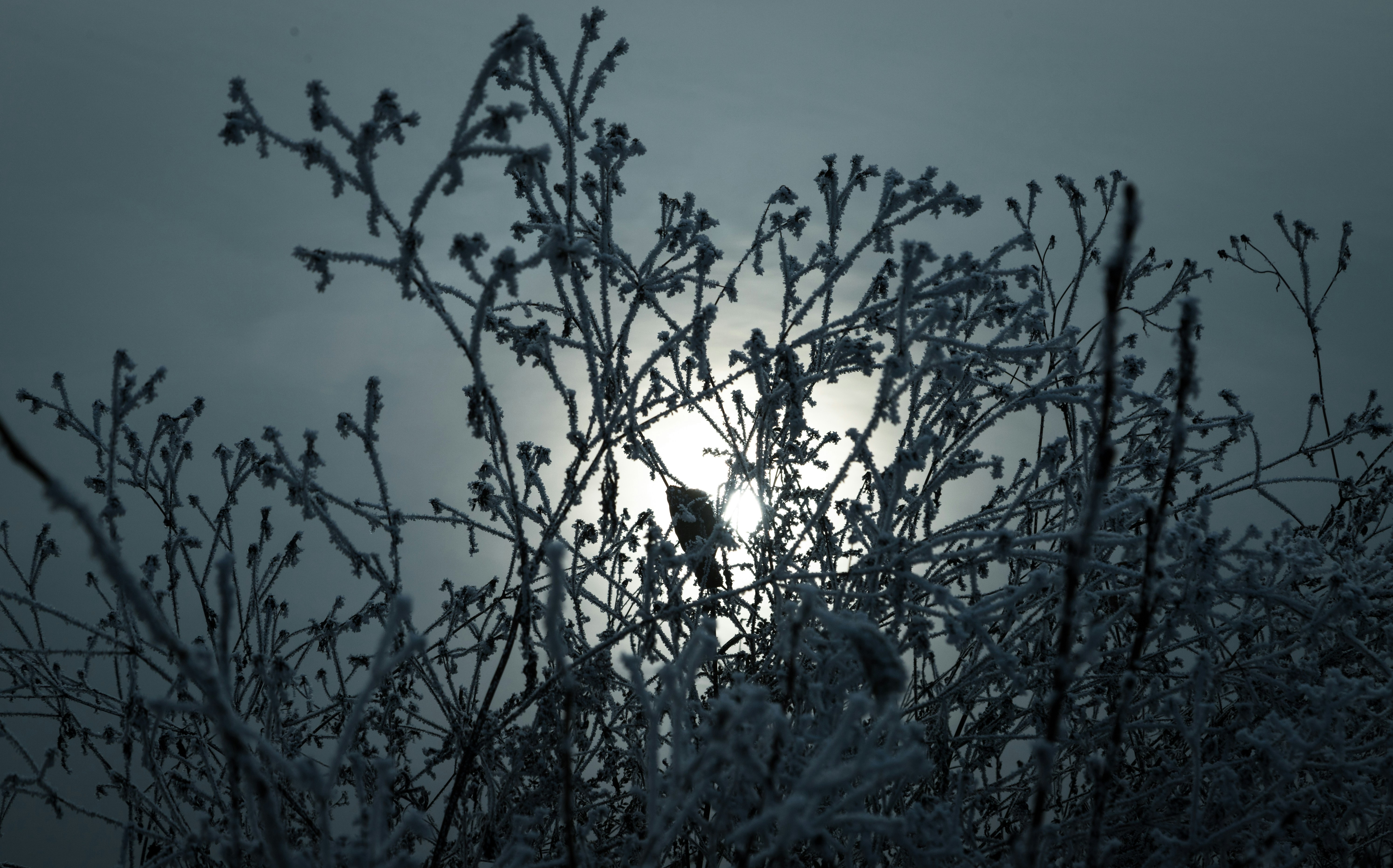 Photo by hdbernd