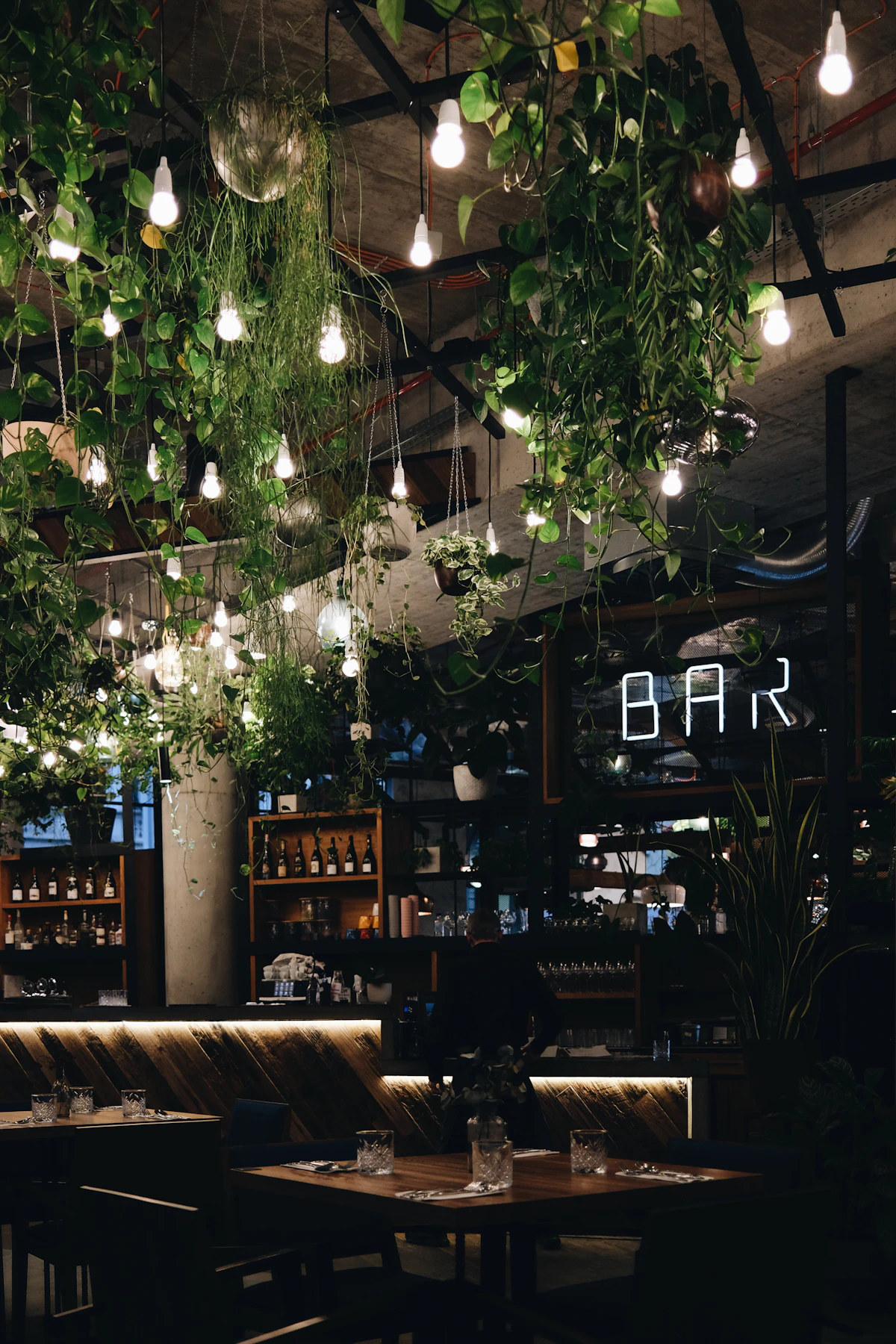 Warm string lights strung above an open-air terrace bar after dark at Aster Rooftop.