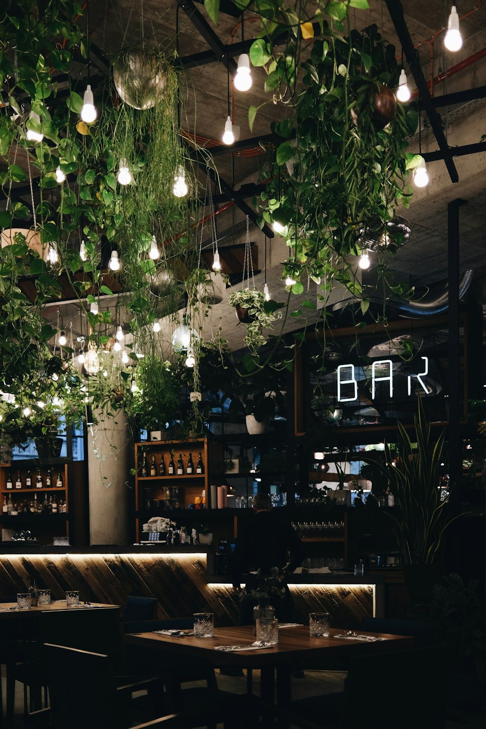 a restaurant with plants hanging from the ceiling