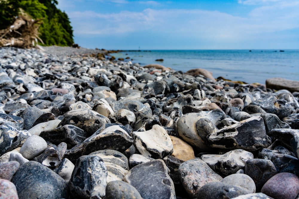 a rocky beach with a body of water in the background