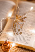 Warm golden fairy lights draped around a stack of romantic storybooks on an off-white background.