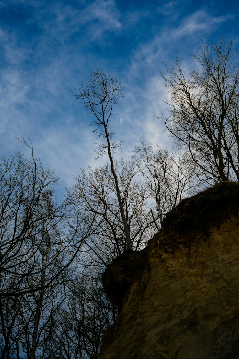 a view of the sky and trees from the top of a hill