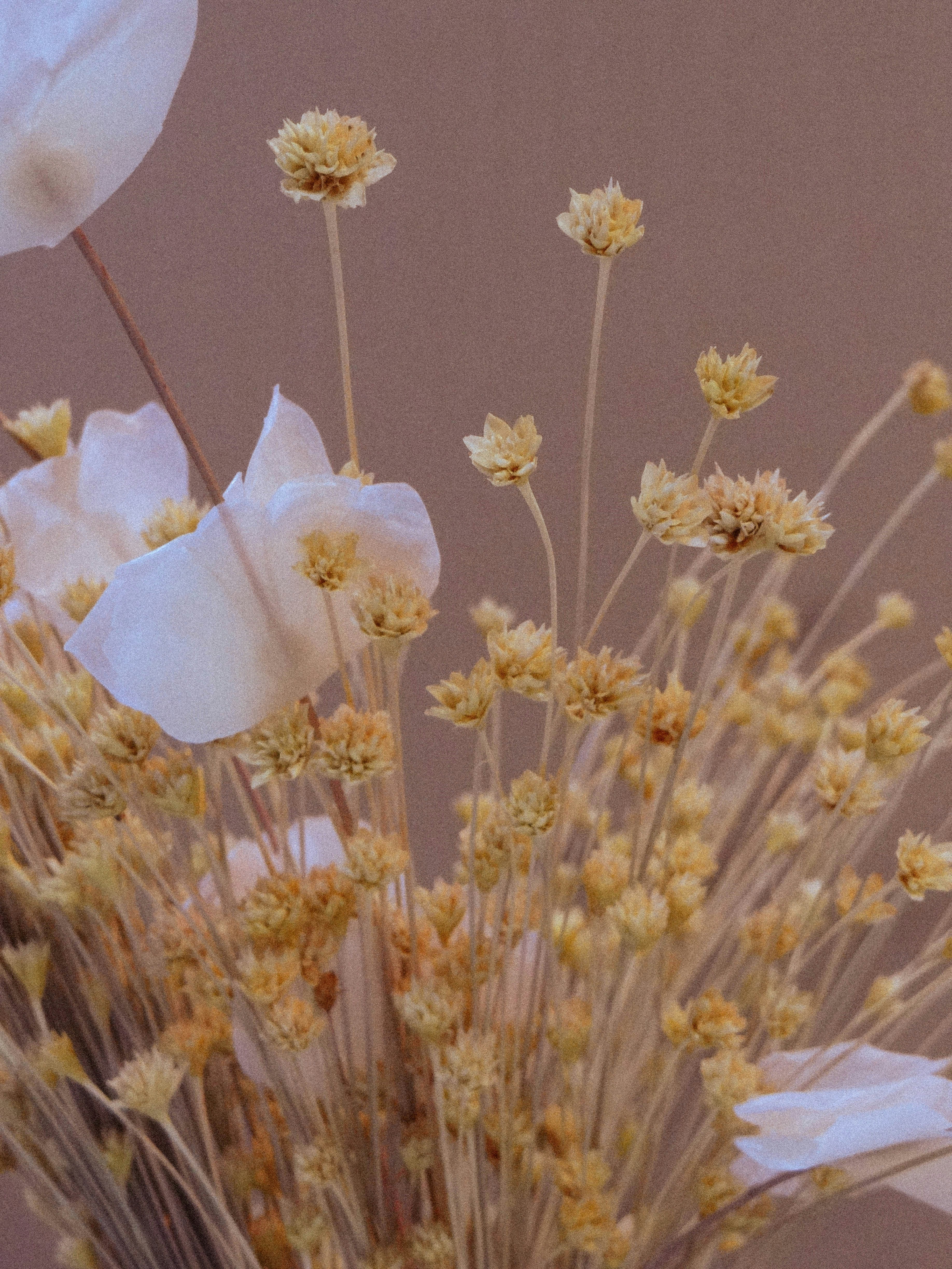 Un jarrón lleno de flores blancas encima de una mesa