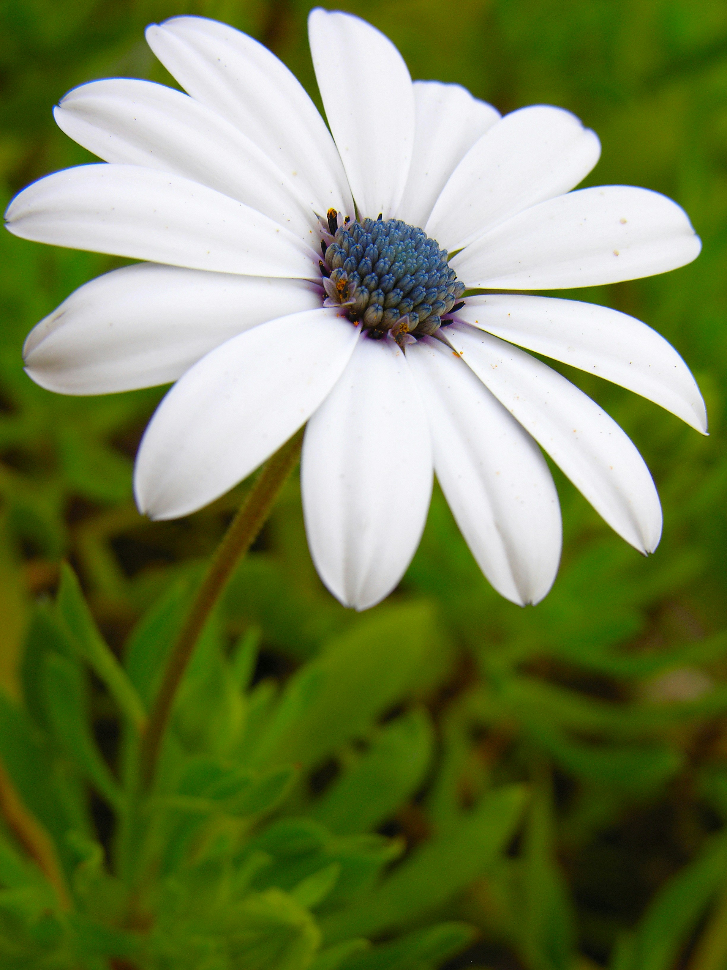 Photo by luckyhtcsensation