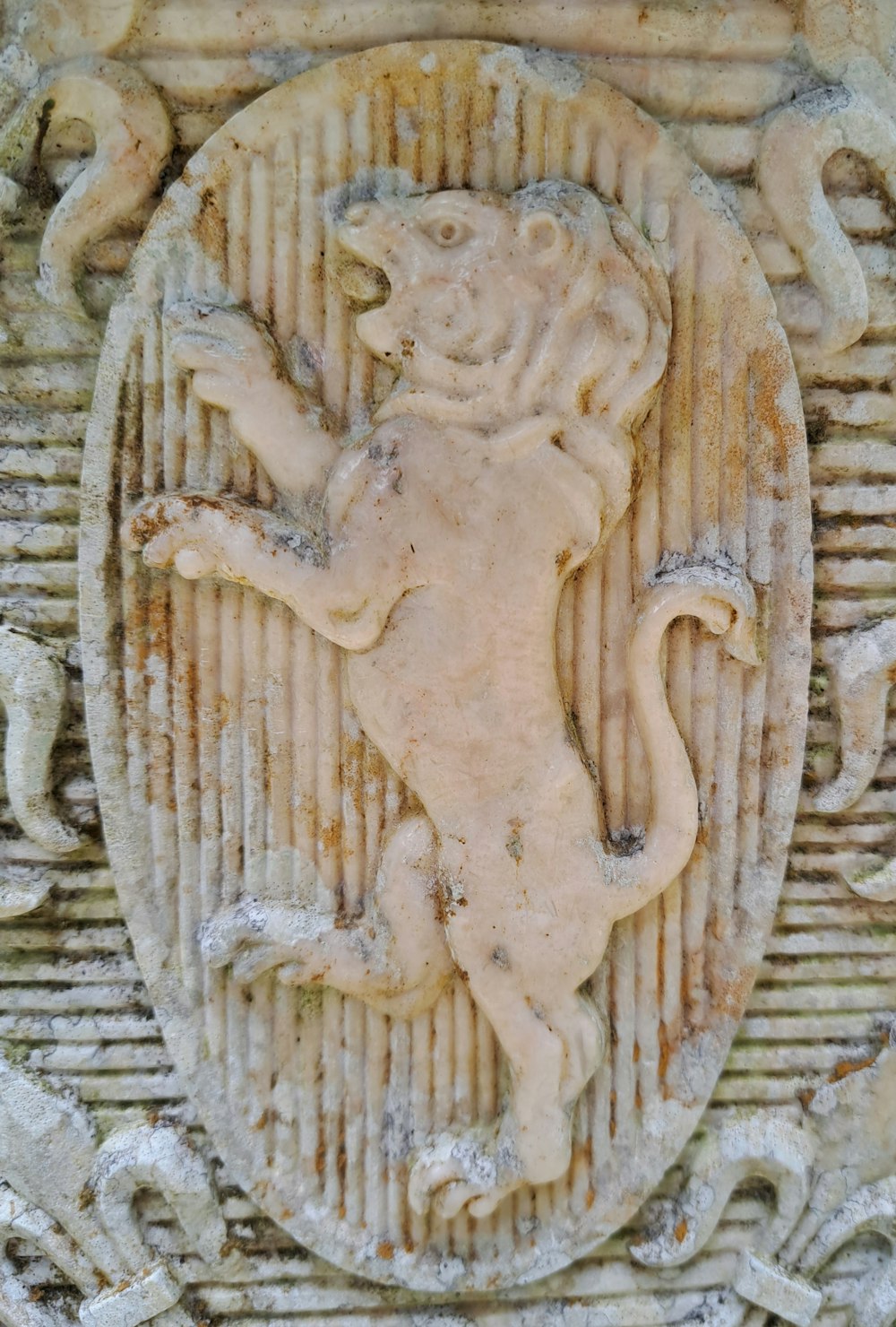 a stone carving of a lion on a wall
