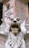 A stone sculpture of a fierce, winged lion with its mouth open, displaying its teeth prominently. The statue is weathered, with visible signs of aging and patina. Behind the sculpture, there is a stone monument with an inscription displaying text in Portuguese.