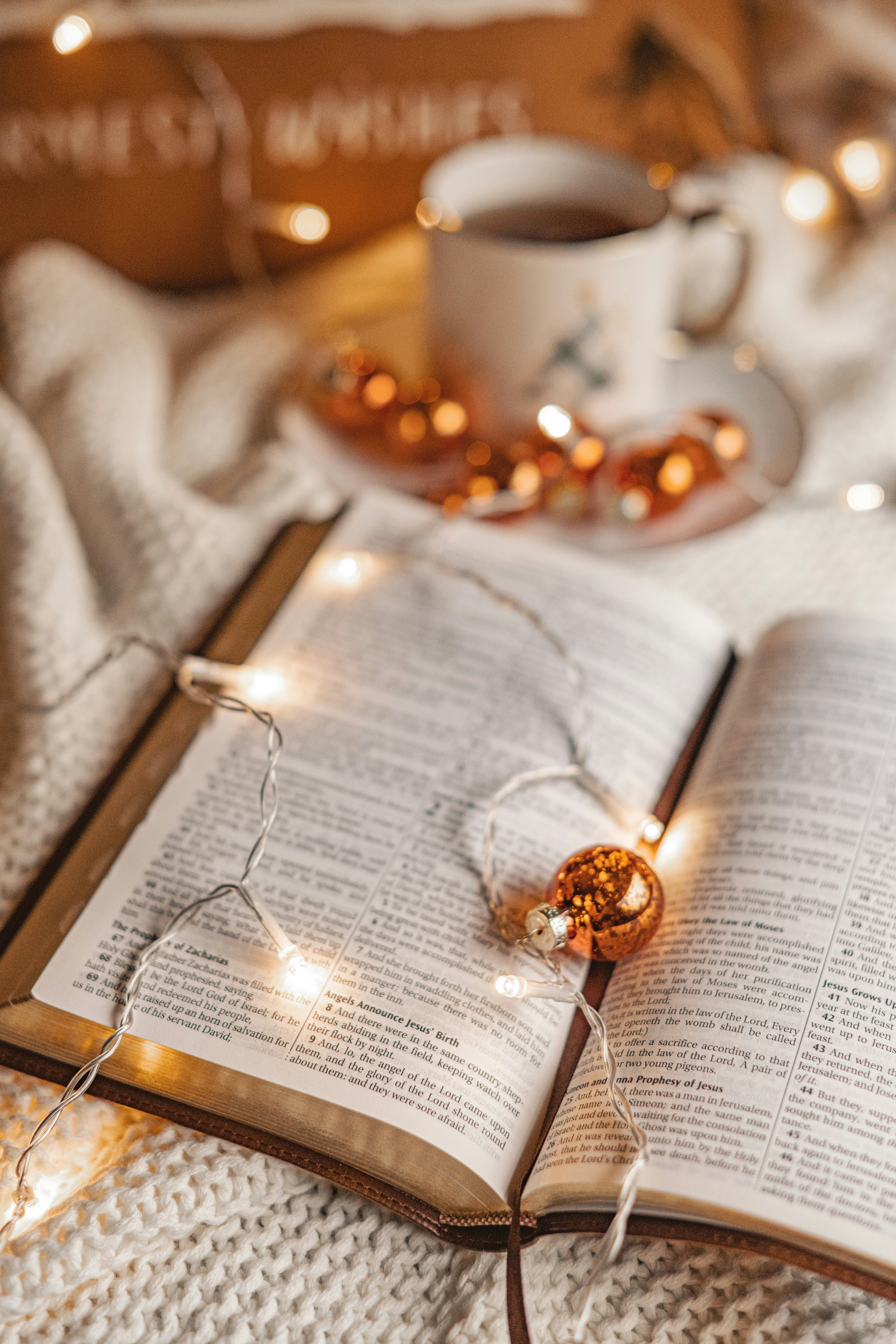 Photo by anitaaustvika