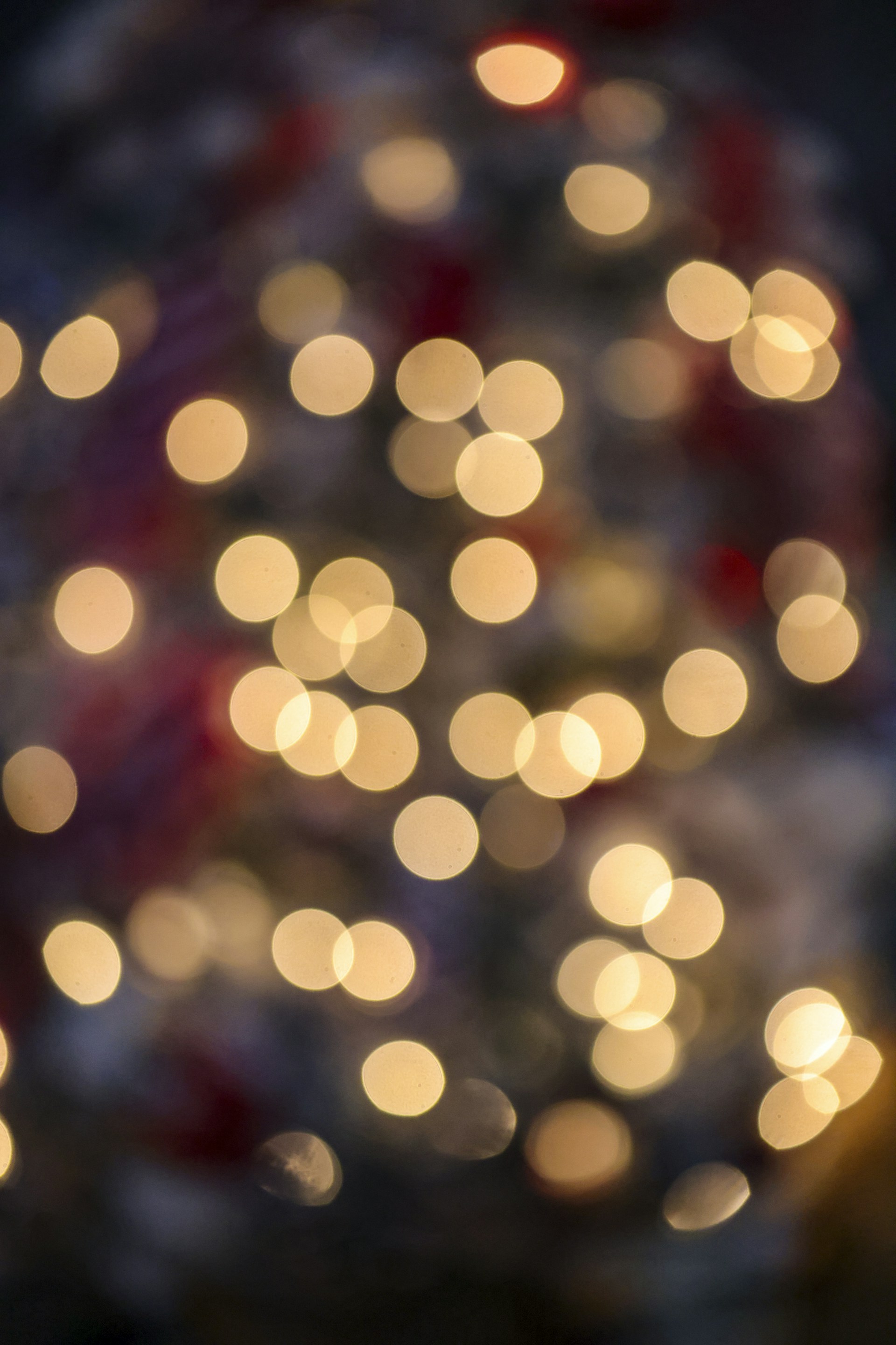 a blurry photo of a lit christmas tree