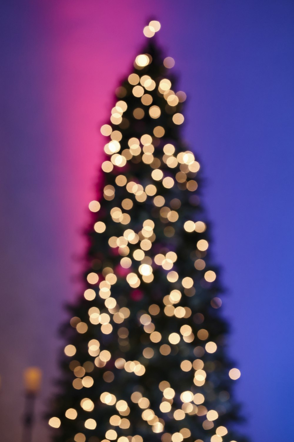 a lit christmas tree in front of a purple sky