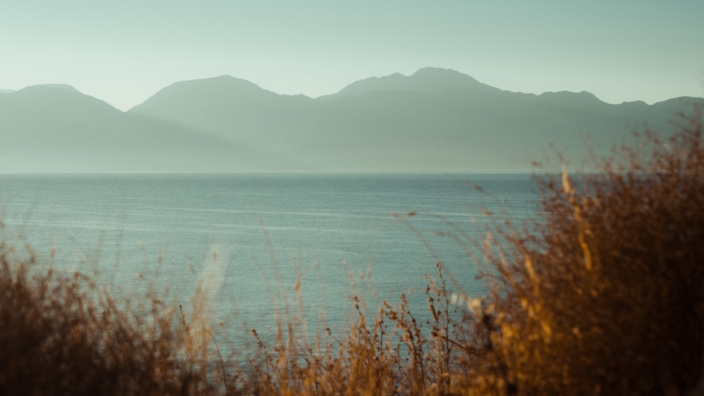 a body of water with mountains in the background