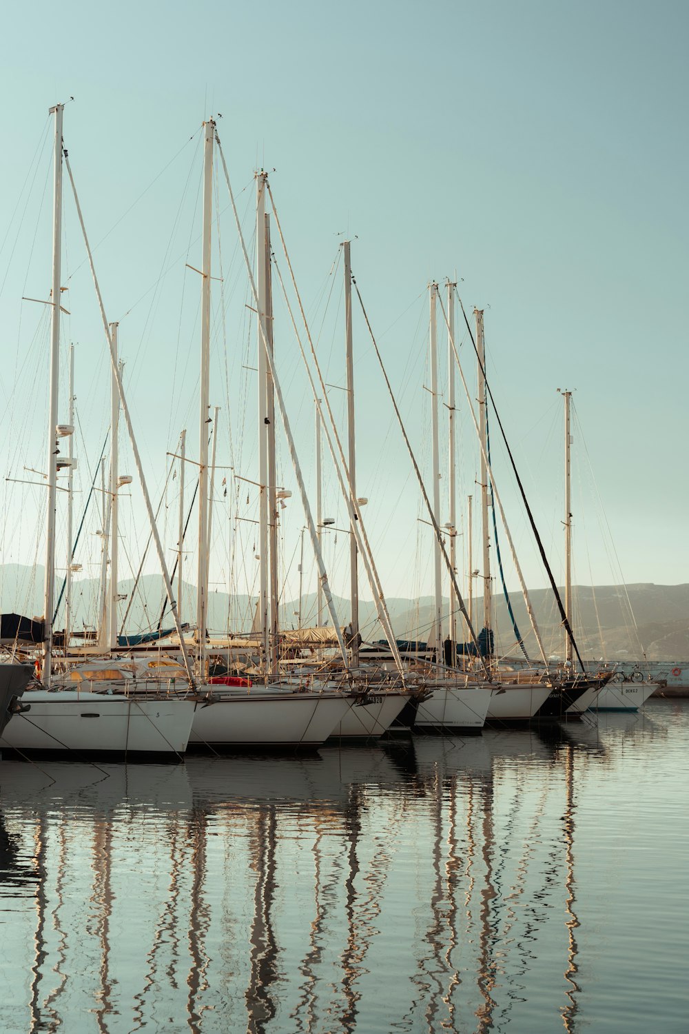 a group of sailboats are docked in the water