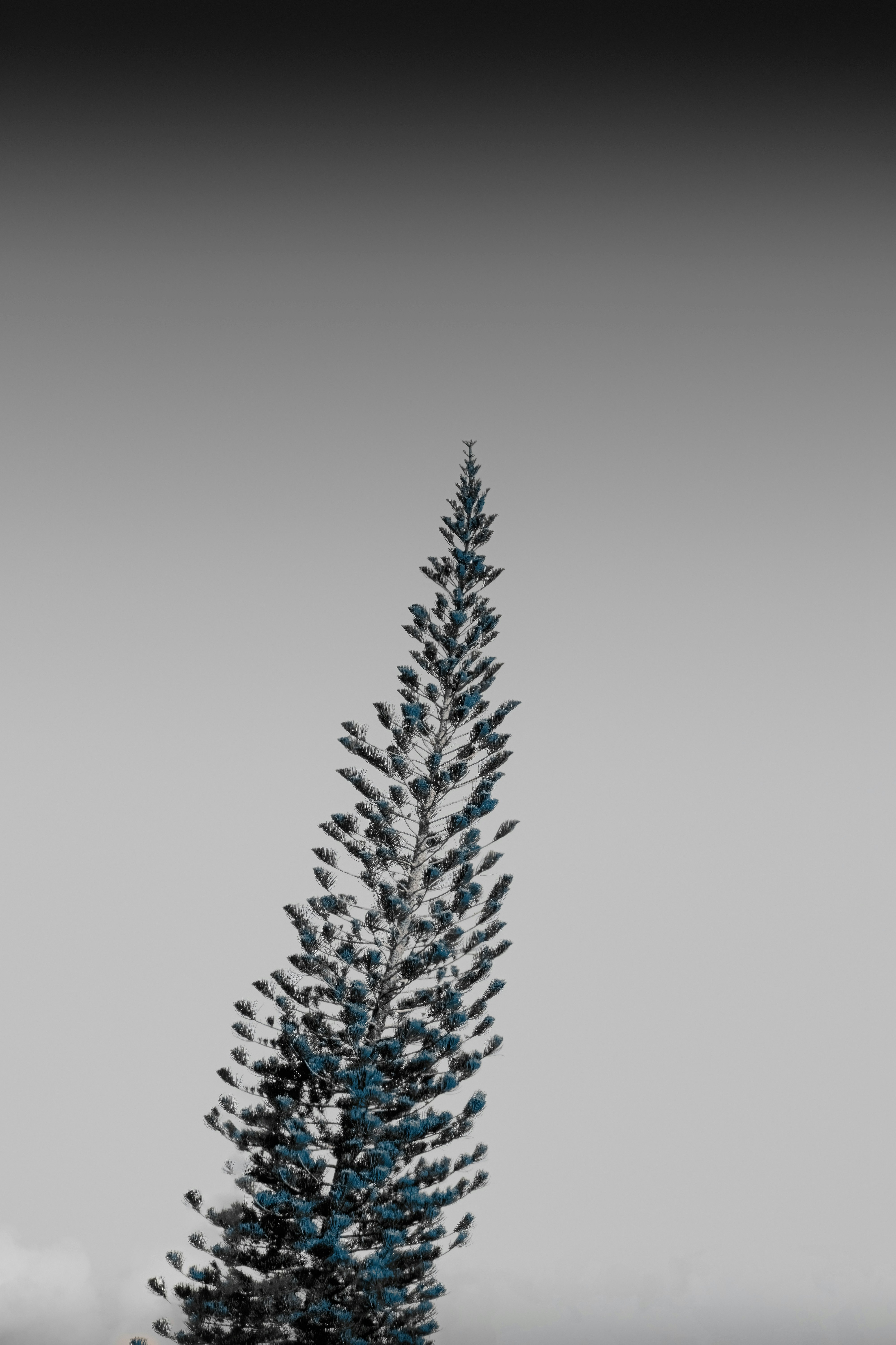 Influencer concept image