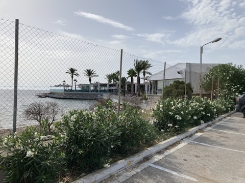 A coastal area with a fence running alongside a parking lot. Palm trees stand near a pier that extends over the water. A low building with a sloping roof is set among green bushes with white flowers. The sky is partly cloudy.
