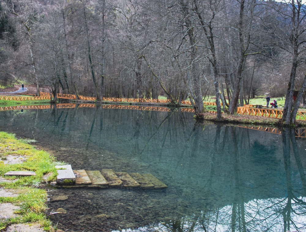 a body of water surrounded by trees and grass