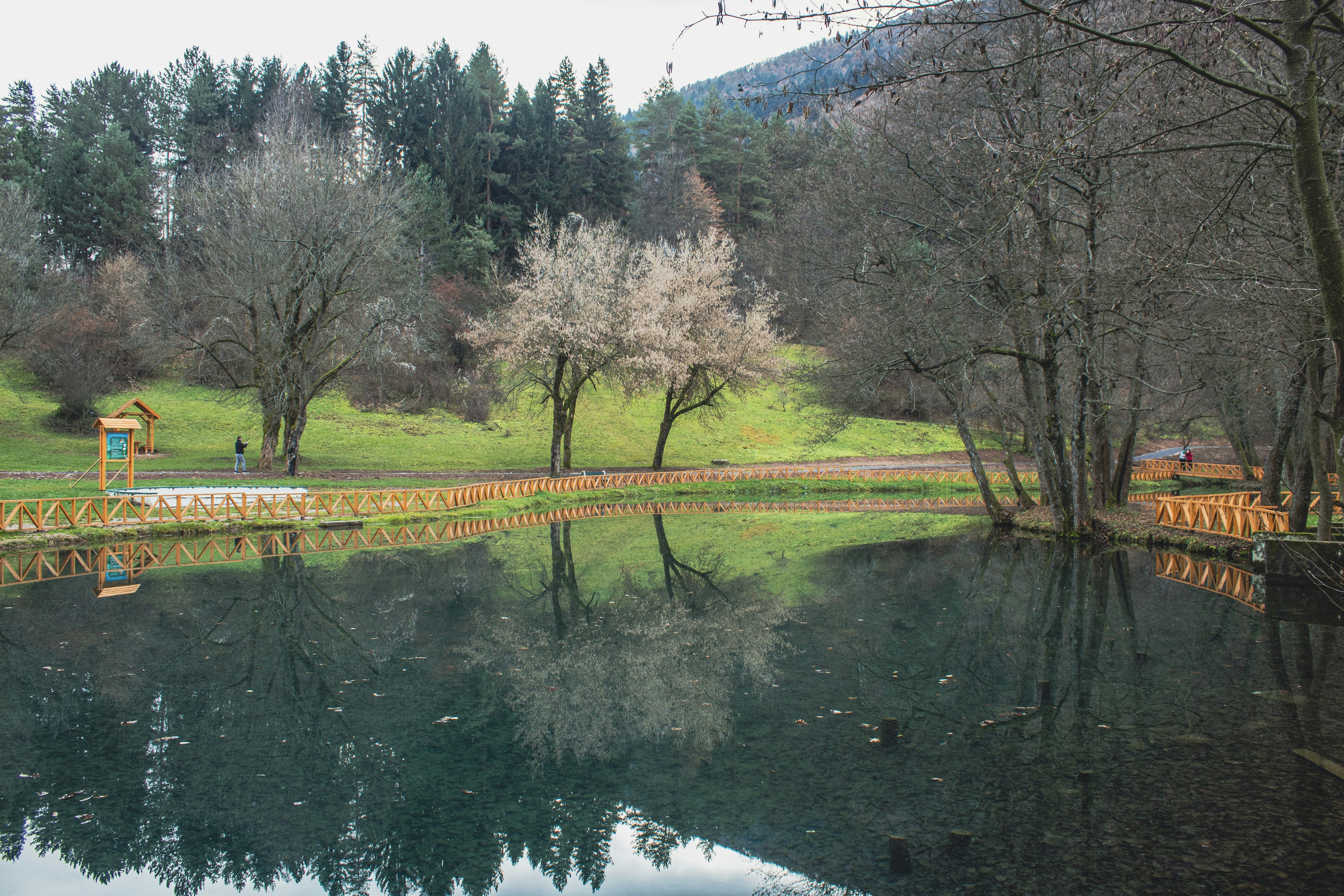 Photo by sporisevicphotography