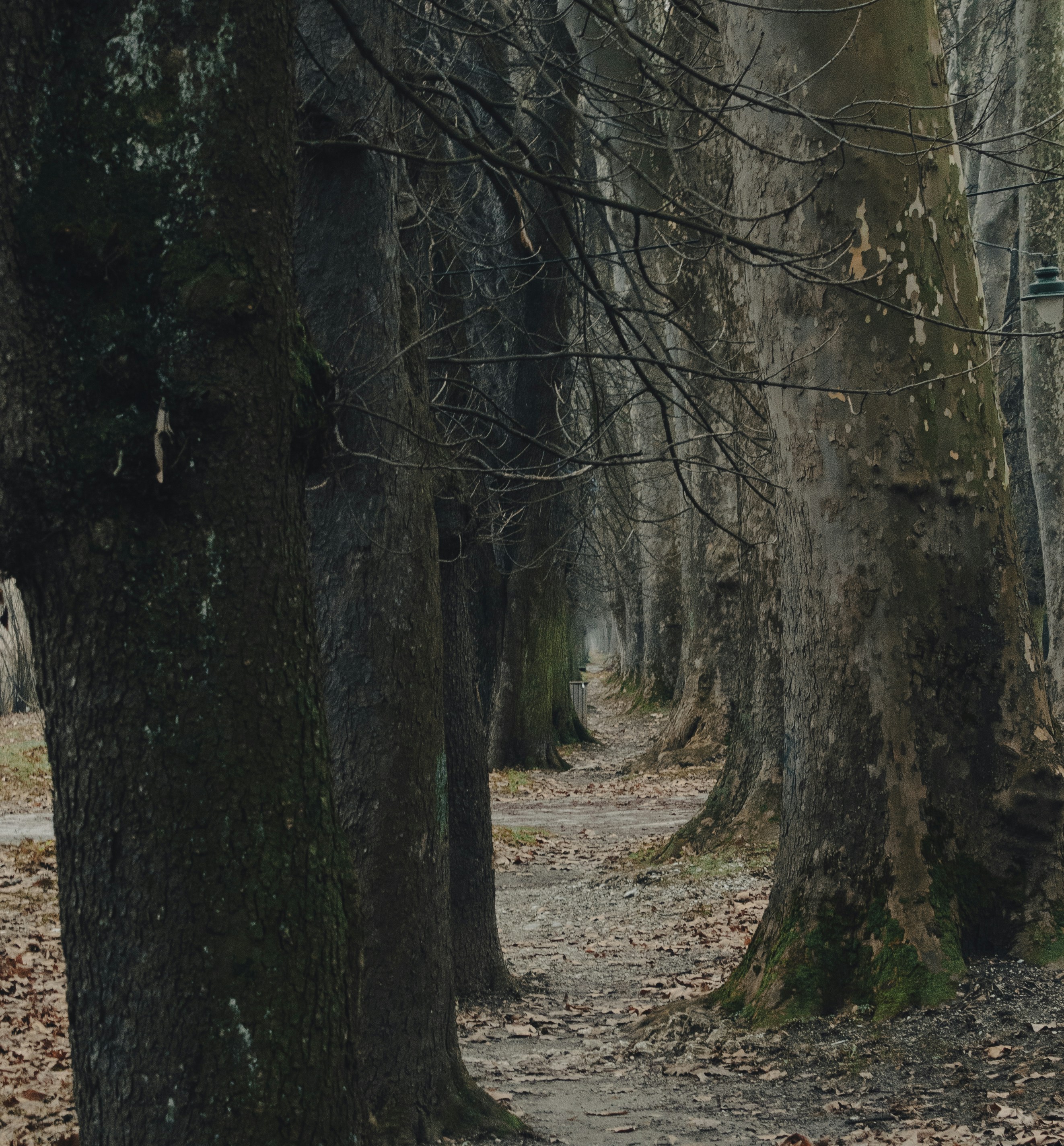 Photo by sporisevicphotography