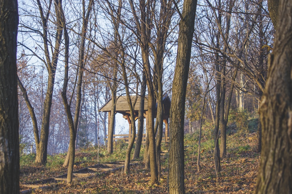 a gazebo in the middle of a wooded area