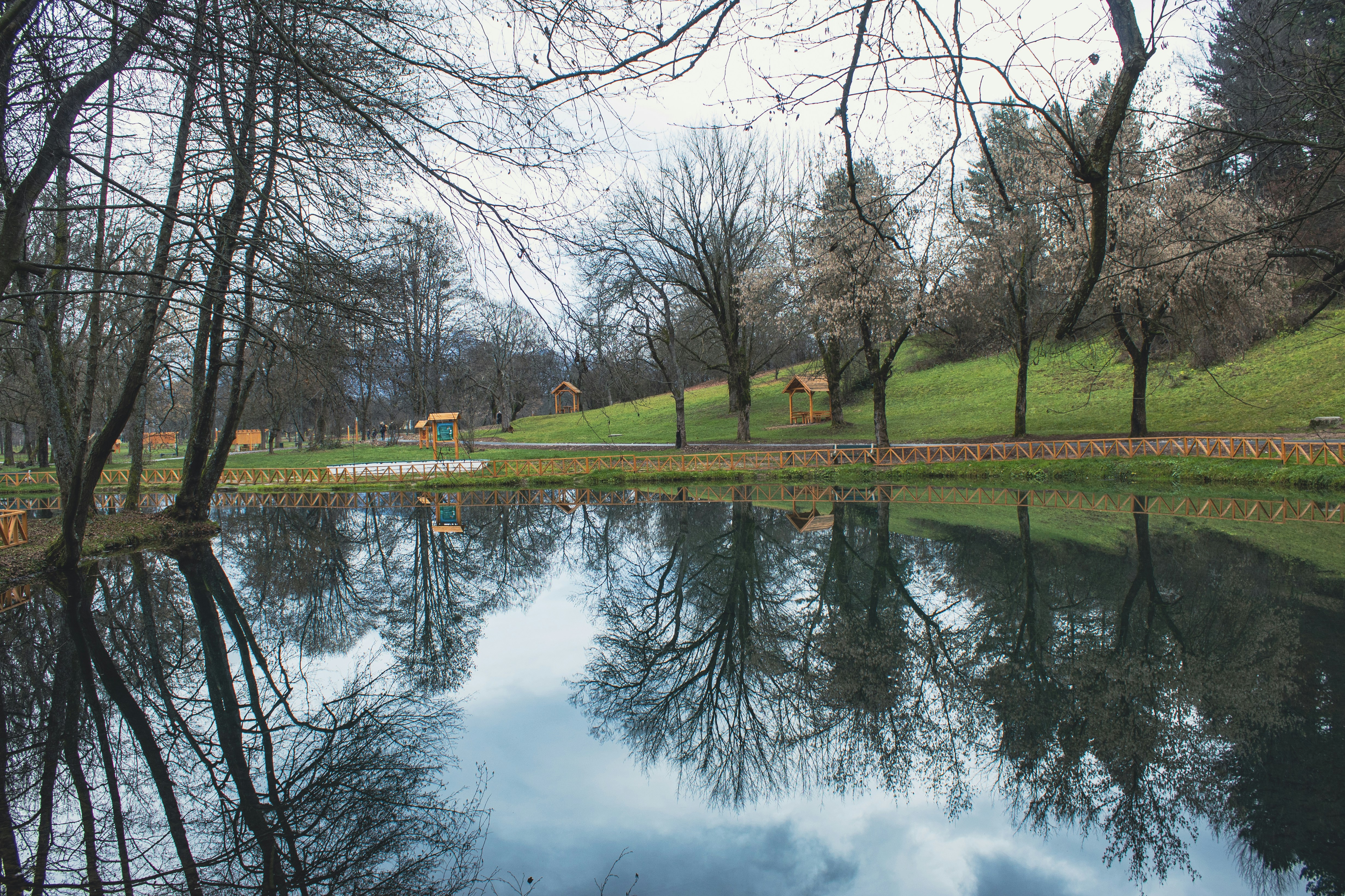 Photo by sporisevicphotography