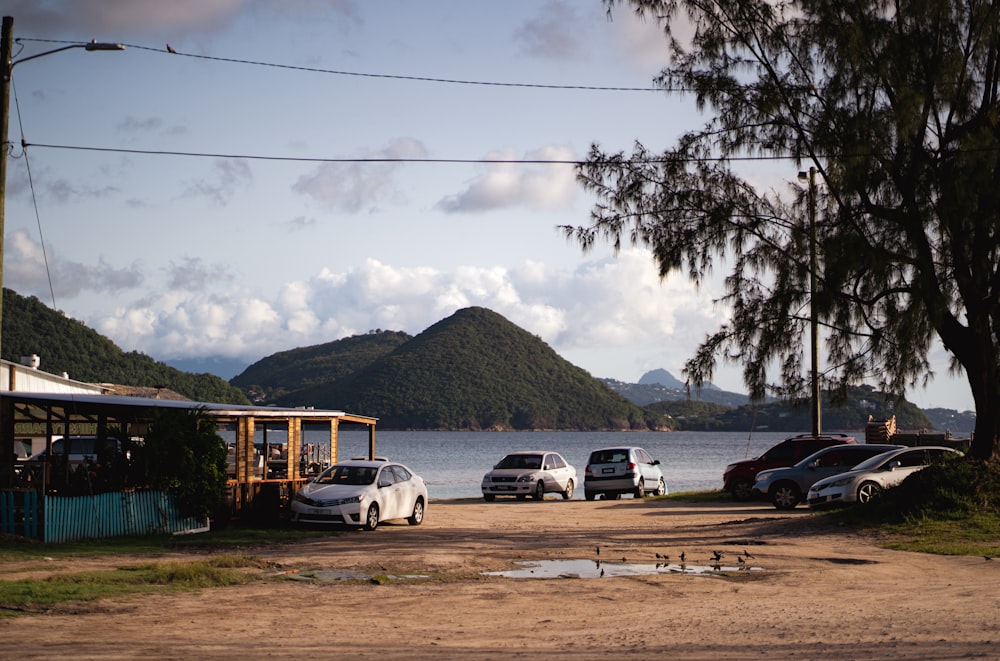 a group of cars parked in front of a body of water