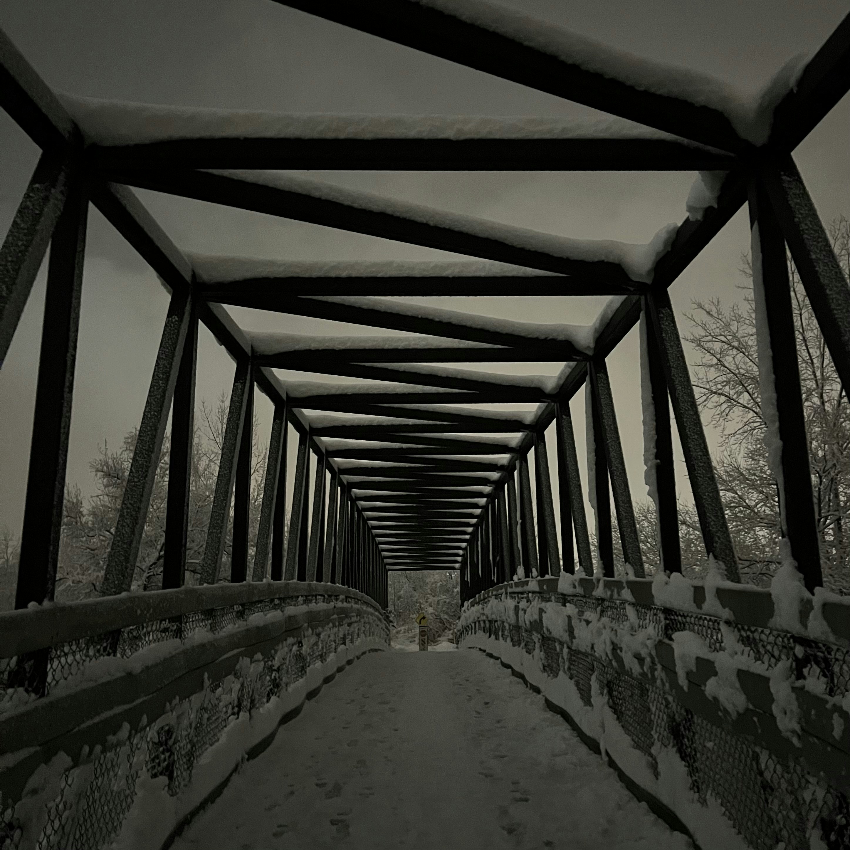 Photo by alex_oprea17