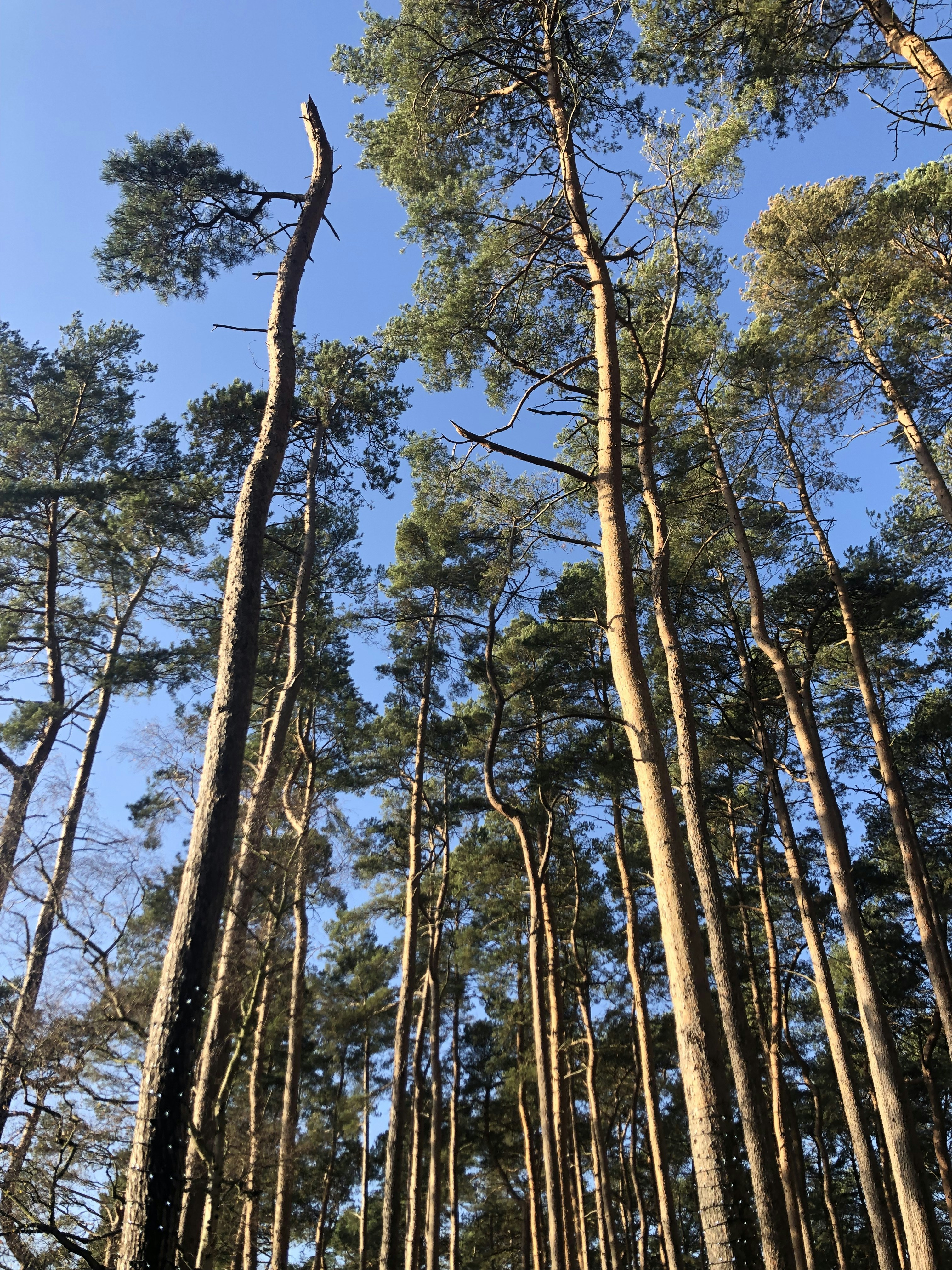 Photo by grace_photography01