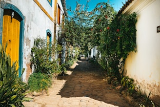 A charming cobblestone street in Suchitoto lined with colonial buildings and vibrant flowers.