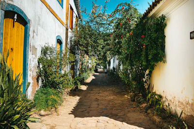 Colorful colonial streets of Arequipa with locals walking and vibrant flowers.