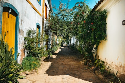 A charming cobblestone street in Suchitoto lined with colonial buildings and vibrant flowers.