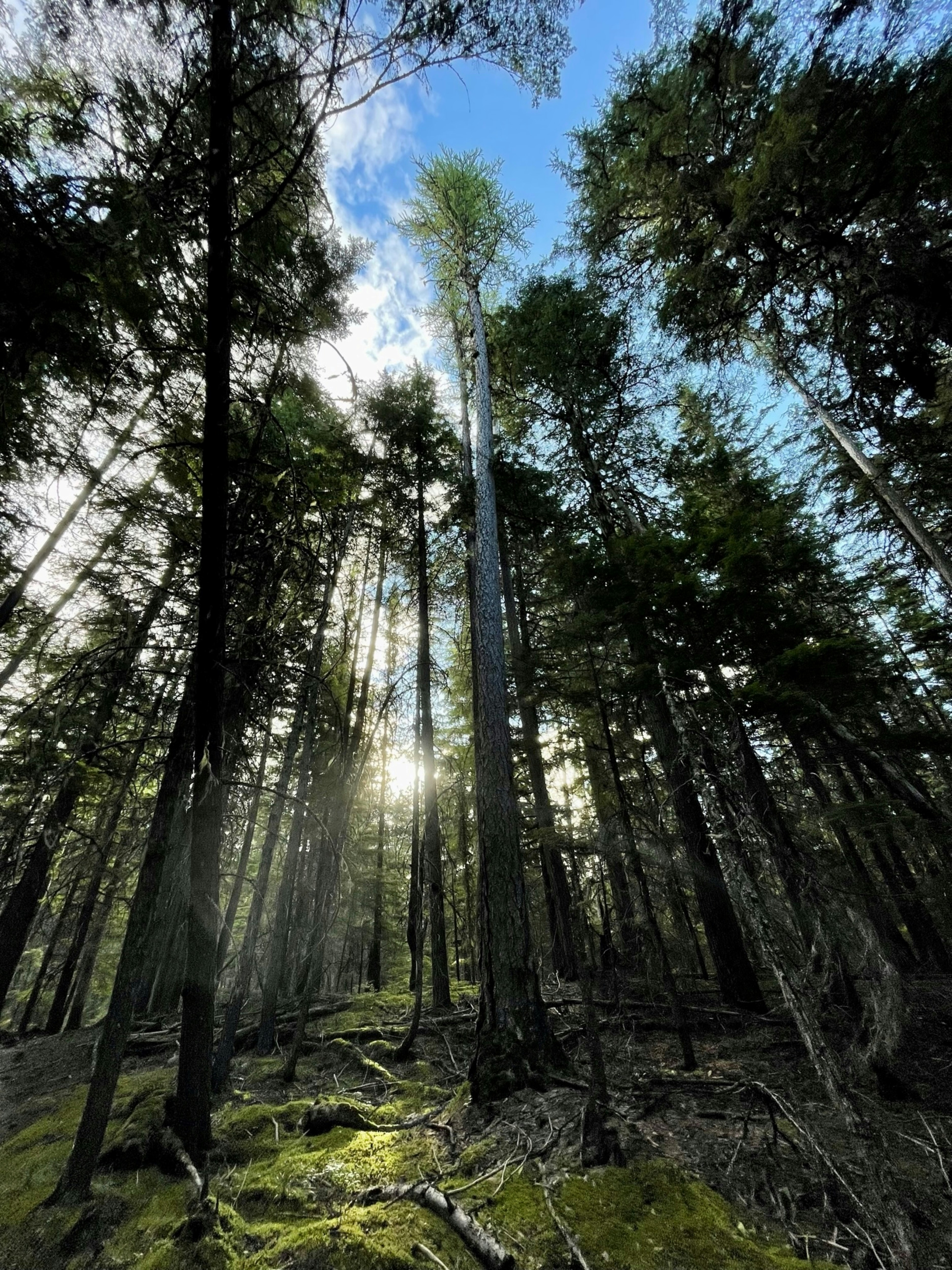 Photo by andresgavinbelson