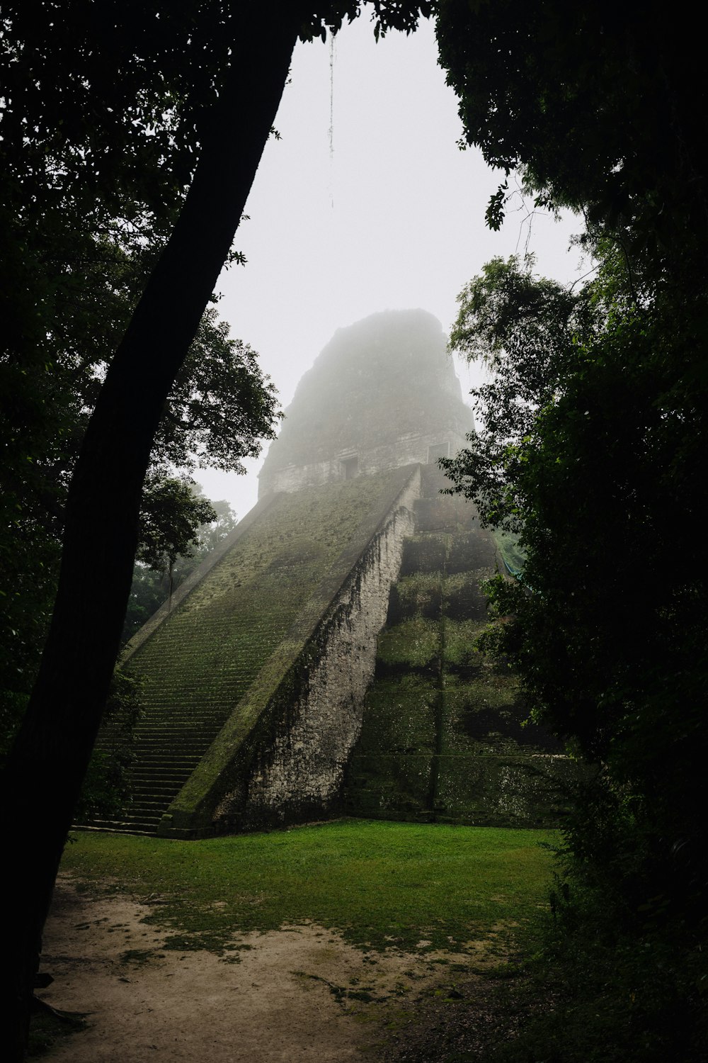 a very tall structure sitting in the middle of a forest