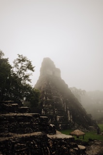 Tikal National Park Guatemala a large pyramid in the middle of a forest