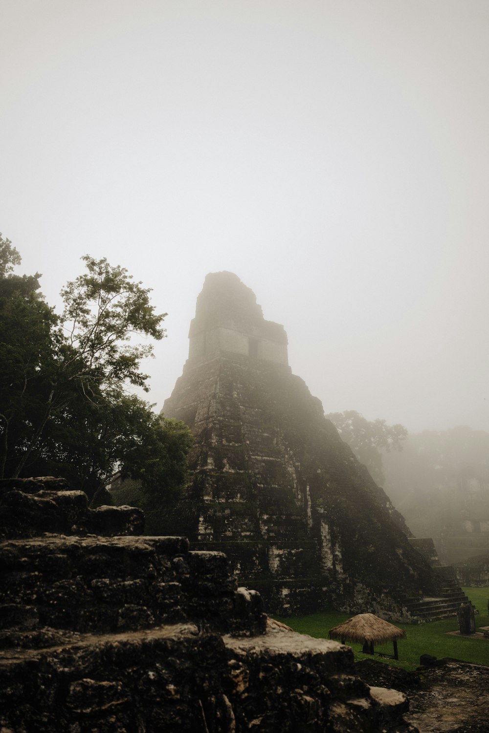 a large pyramid in the middle of a forest