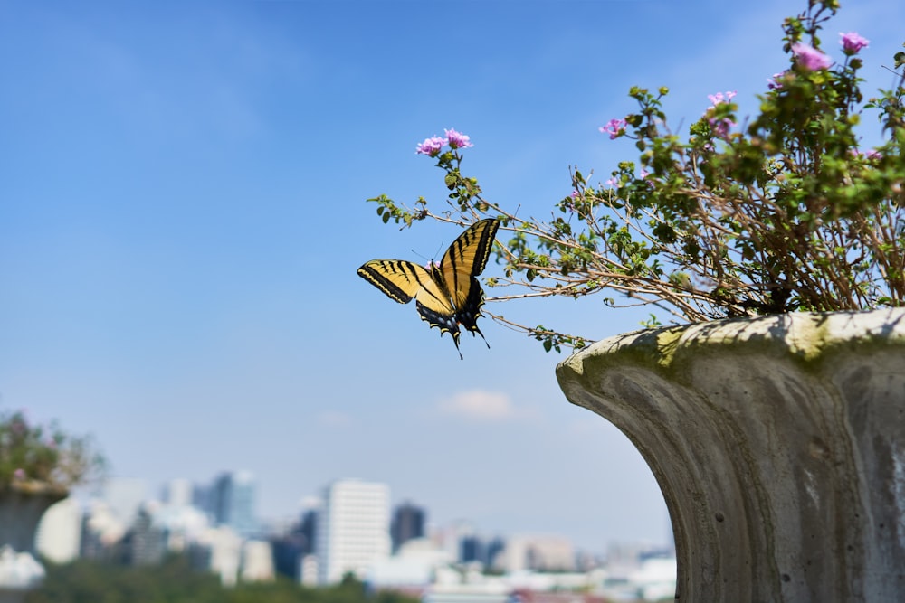 a butterfly sitting on top of a plant in a vase