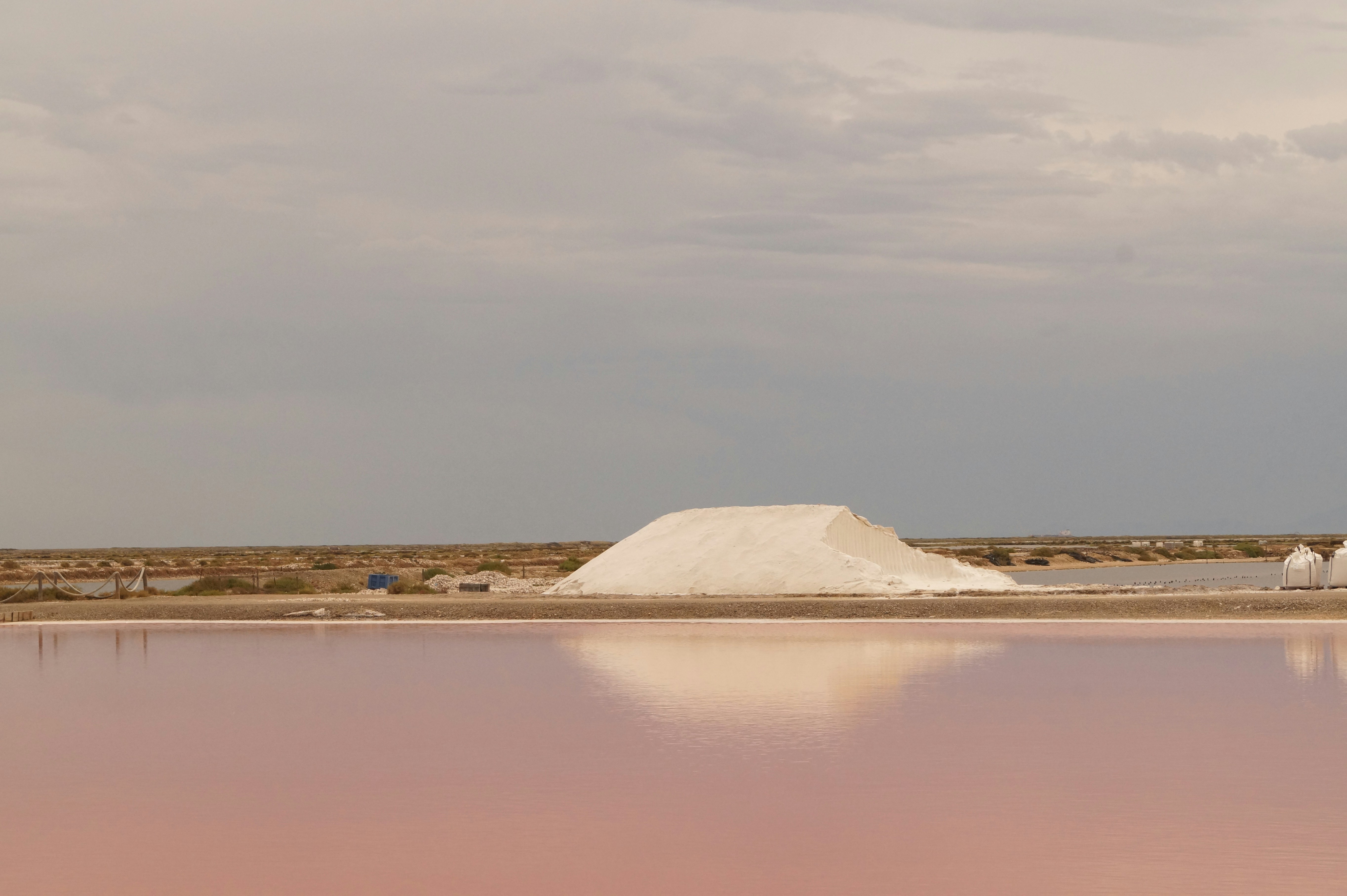 Salt Domes and the Gulf’s Unique Ecosystems (image credits: unsplash)