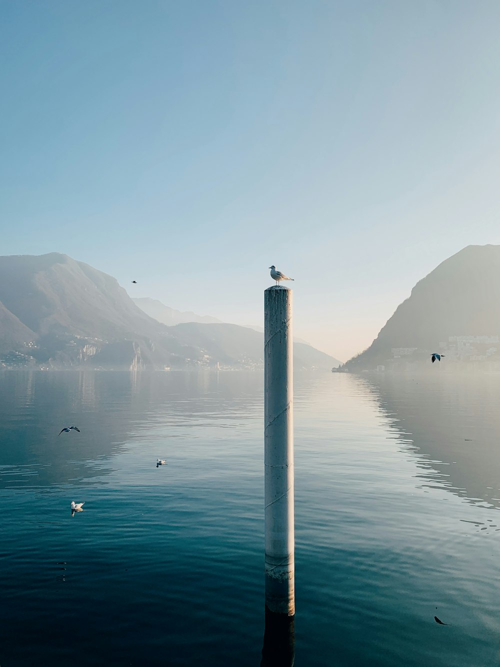a bird sitting on a pole in the middle of a body of water