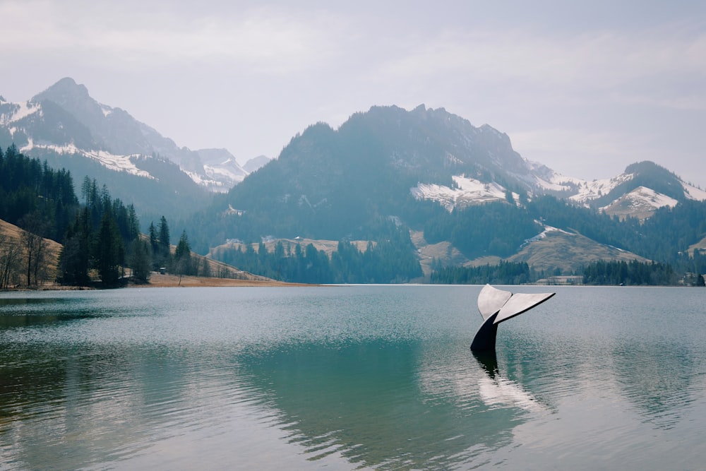 a large body of water with mountains in the background