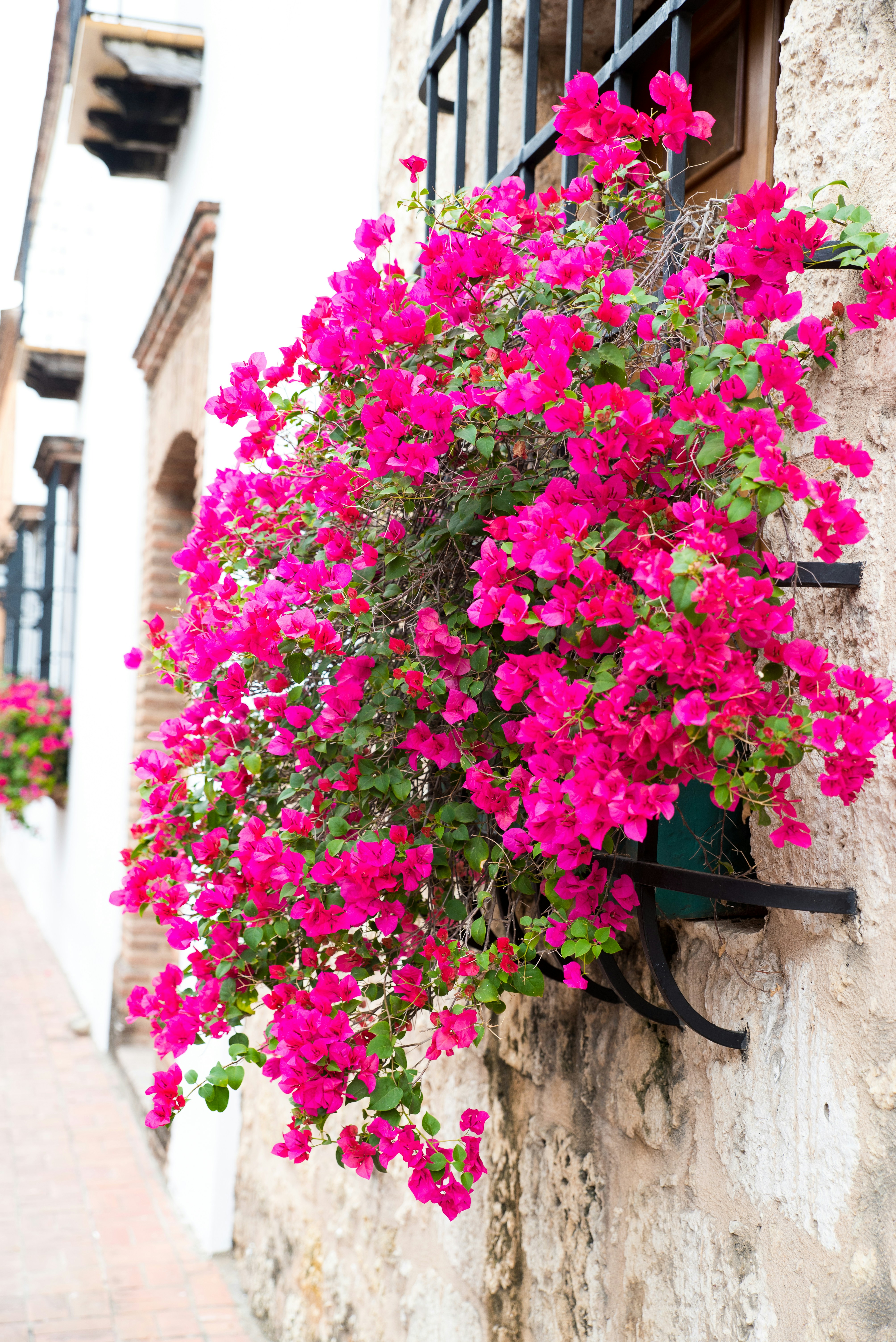 Photo by meringuedesigns